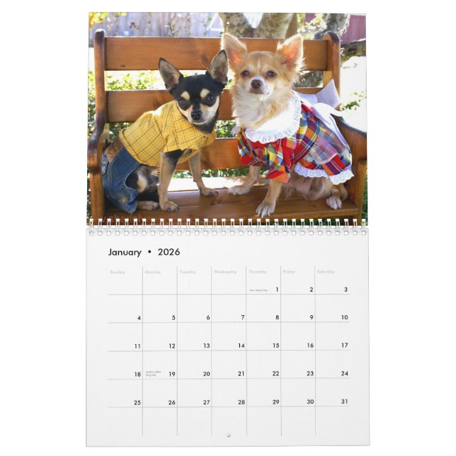 Calendrier Chiens vivant comme humains à côté de Sherial (Jan 2026)