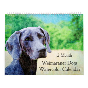 Calendrier Chiens Weimaraner 12 Mois Ghoarly Cadeaux Aquarell
