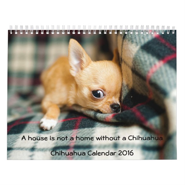 Calendrier Chihuahua 2016 Photo House N'Est Pas Un (Protection)