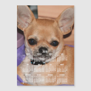 Calendrier Chihuahua 2018 Carte photo magnétique 5