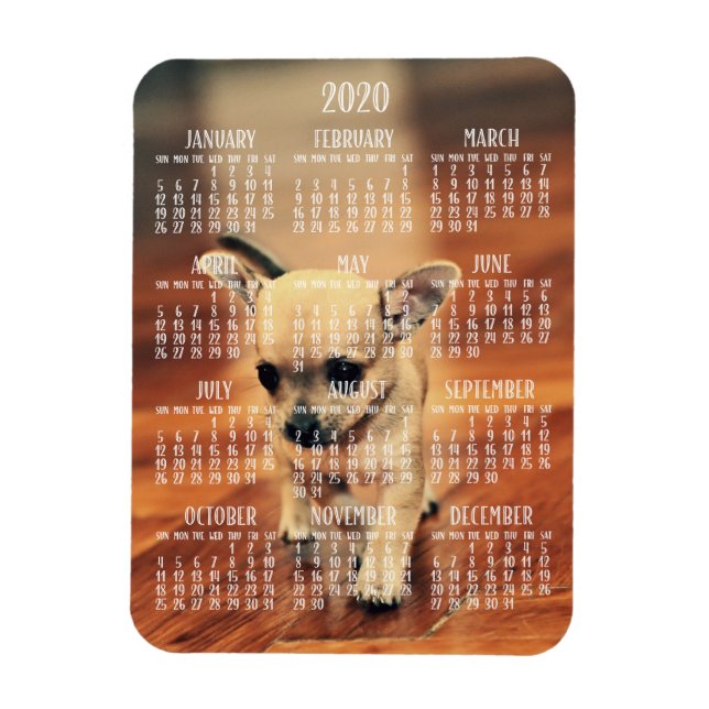 Calendrier Chihuahua 2020 Magnet photo 3x4 petit (Vertical)