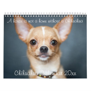 Calendrier Chihuahua 2023 La Maison N'Est Pas Une
