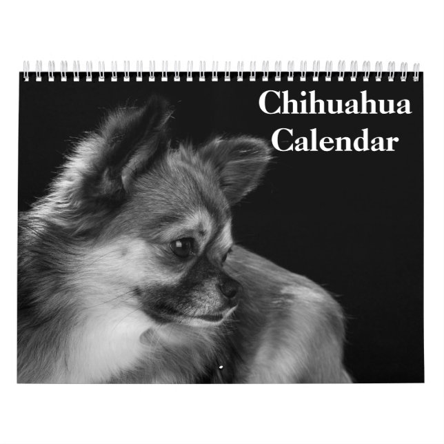 Calendrier Chihuahua 2025 (Protection)