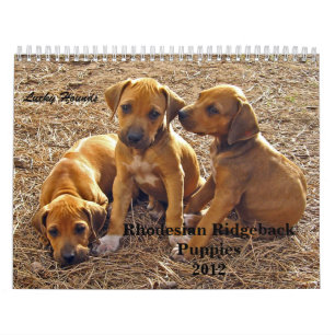 Calendrier Chiots 2012 de Rhodesian Ridgeback