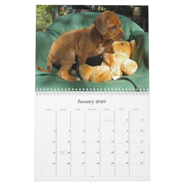 Calendrier Chiots 2012 de Rhodesian Ridgeback (Jan 2026)
