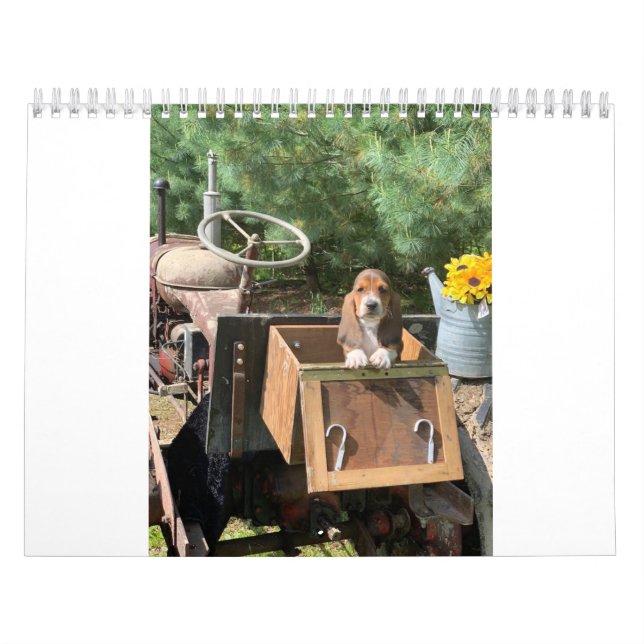 Calendrier Chiots 2019 d'olive et de trains (Protection)