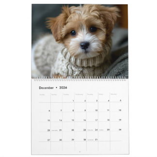 Calendrier Chiots en Pulls
