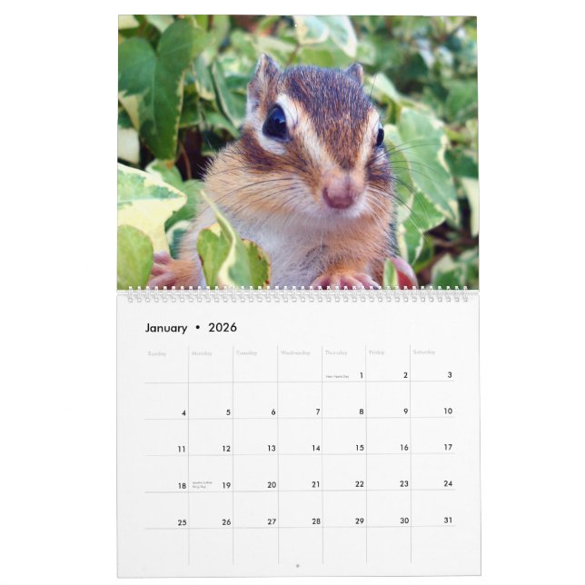 Calendrier chipmunk  (All country) (Jan 2026)
