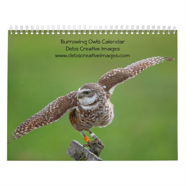 Calendrier Chouette brulante 2026 (Protection)