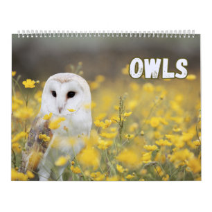 Calendrier Chouettes avec belle nature et paysages forestiers