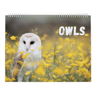 Calendrier Chouettes avec belle nature et paysages forestiers