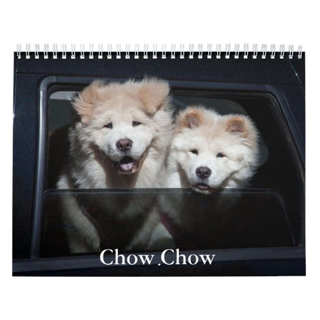 Calendrier Chow Chow Chien (Protection)