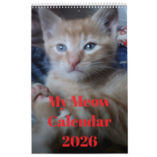 Calendrier Citations de photos de chat Personnaliser Amusant