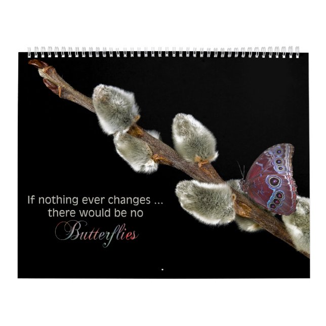Calendrier Citations inspirantes sur les photographies (Protection)