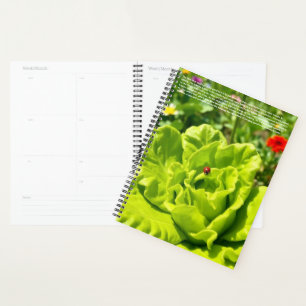 Calendrier coccinelle