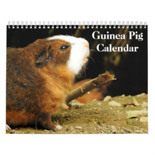 Calendrier Cochon de Guinée 2025