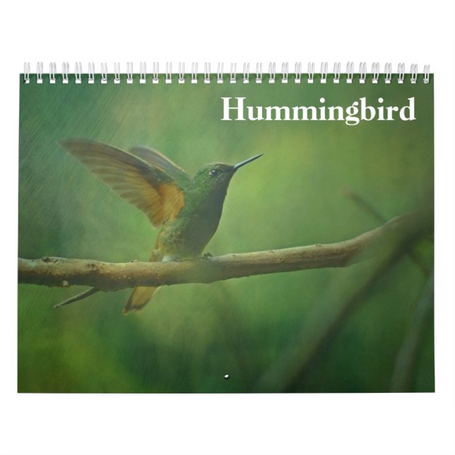 Calendrier Colibri 2025 (Protection)