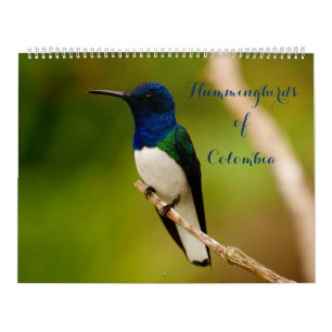 Calendrier Colibri de Colombie