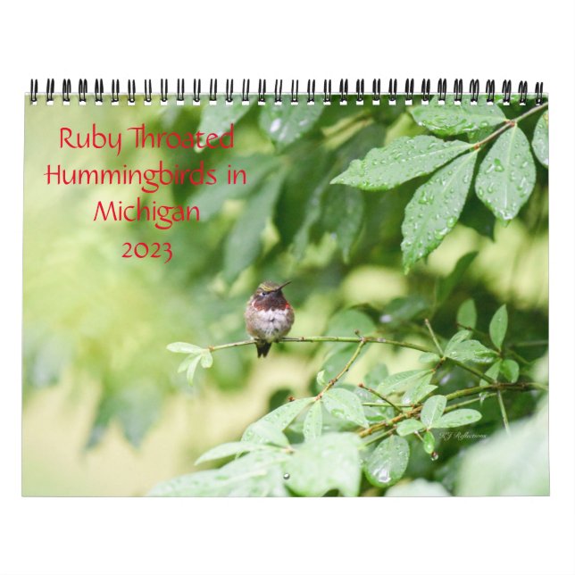 Calendrier Colibri du Michigan (Protection)