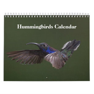 Calendrier Colibris 2025