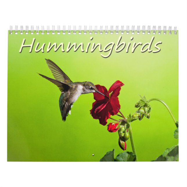 Calendrier Colibris de photographie de Lara Ellis (Protection)