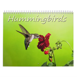 Calendrier Colibris de photographie de Lara Ellis