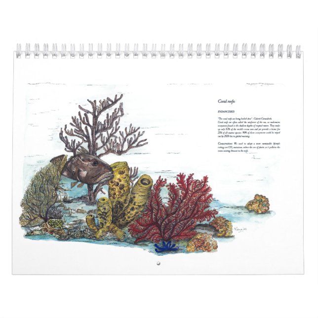 Calendrier Collection de faune en voie de disparition (Protection)