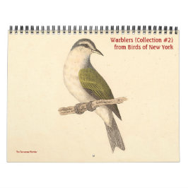 Calendrier Collection de parulines #2 Lithographies d'oiseaux