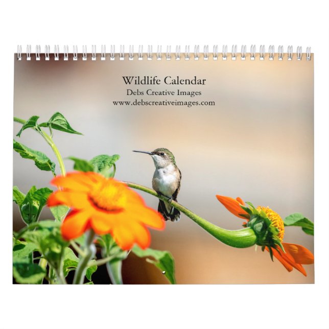 Calendrier Collection Faune 2027 | Nature Nord-Américaine (Protection)