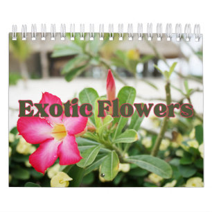 Calendrier Collection Fleurs exotiques Showcase Wall Calendri