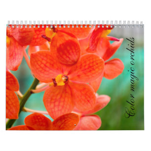 Calendrier Color magic orchids