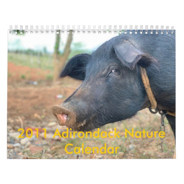 Calendrier Conception de porc de ferme (Protection)
