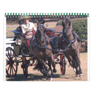 Calendrier conduite de chevaux