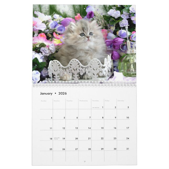 Calendrier confortable de 2010 chatons - customisé (Jan 2026)