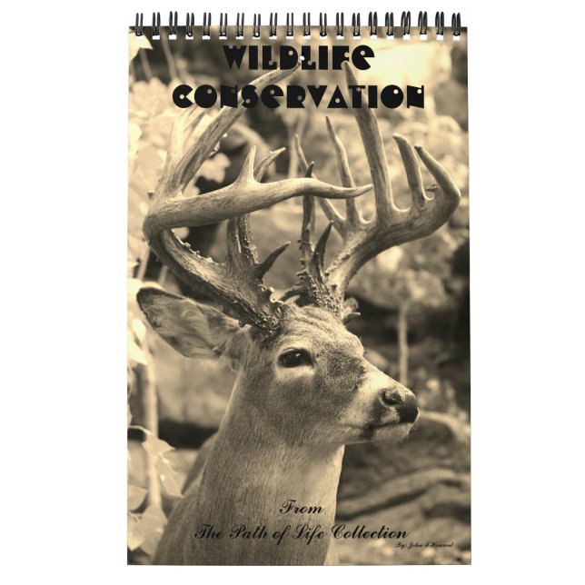 Calendrier Conservation de faune (Protection)