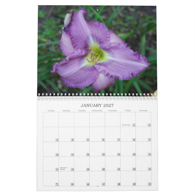 Calendrier Contact des Daylilies de Sun II (Jan 2027)