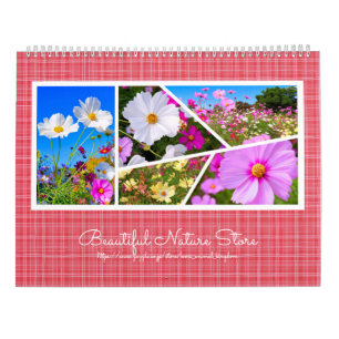 Calendrier Cosmos