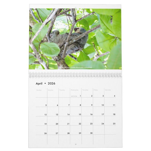 Calendrier Costa Rica (Apr 2026)