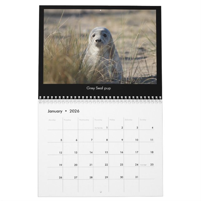 Calendrier côtier 2018 de faune de la Norfolk (Jan 2026)