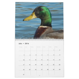 Calendrier Couleur d'en de gansos de fotos de patos y