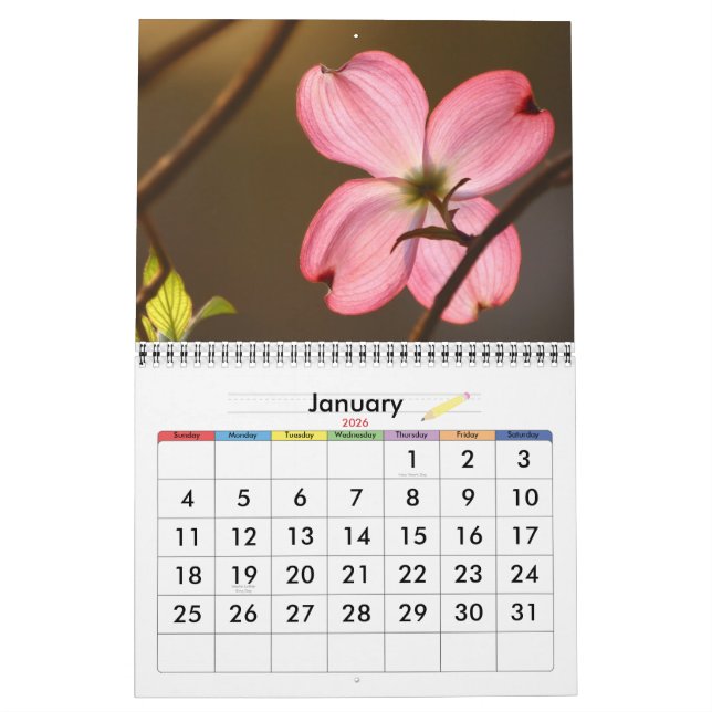 Calendrier Couleur vivante (Jan 2026)