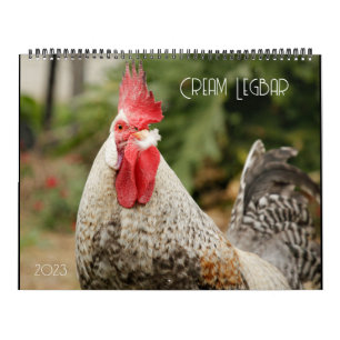 Calendrier Cream Legbar 2023