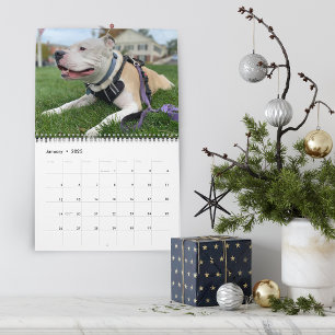 Calendrier Création de souvenirs de chien personnalisés