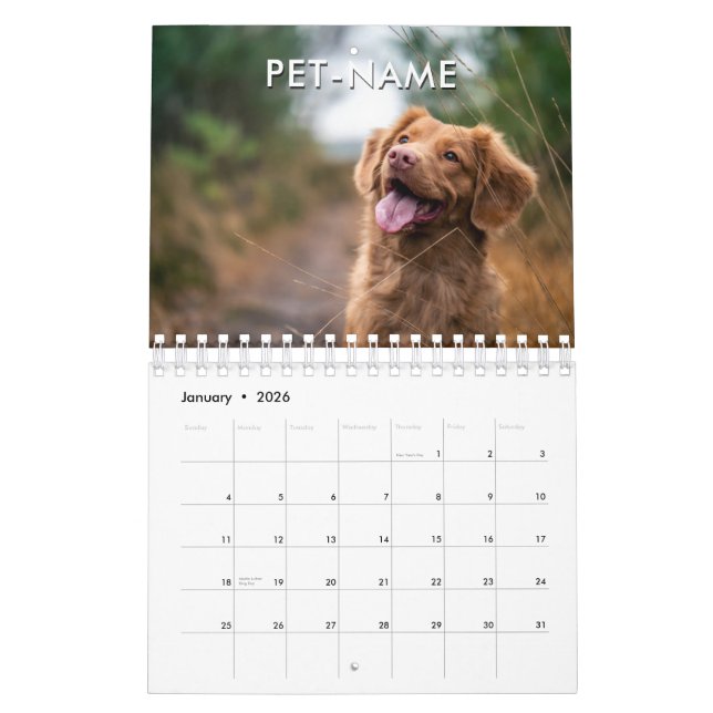 Calendrier Custom 14 Photo Pet Dog 14 Name Picture Template (Jan 2026)