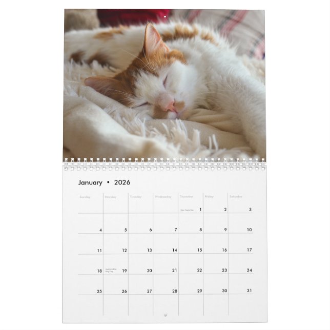 Calendrier Cute Cat & Kitten 2023 (Jan 2026)