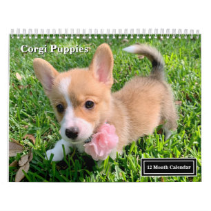 Calendrier Cute Corgi Puppies 2025 Puppy Wall