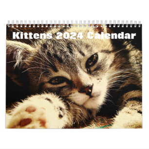 Calendrier Cute Kittens 2024