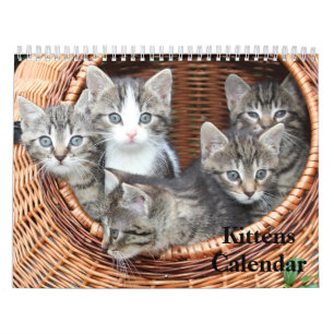 Calendrier Cute Kittens 2025 Bengale Tiger