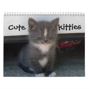 Calendrier CUTE KITTIES