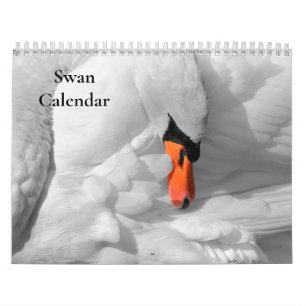 Calendrier cygne 2025